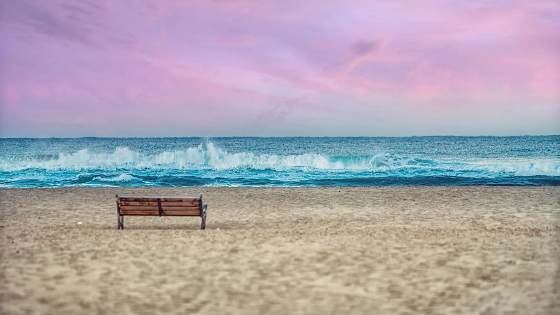 양양 양양 골든베이 펜션 4성급 호텔 레스토랑