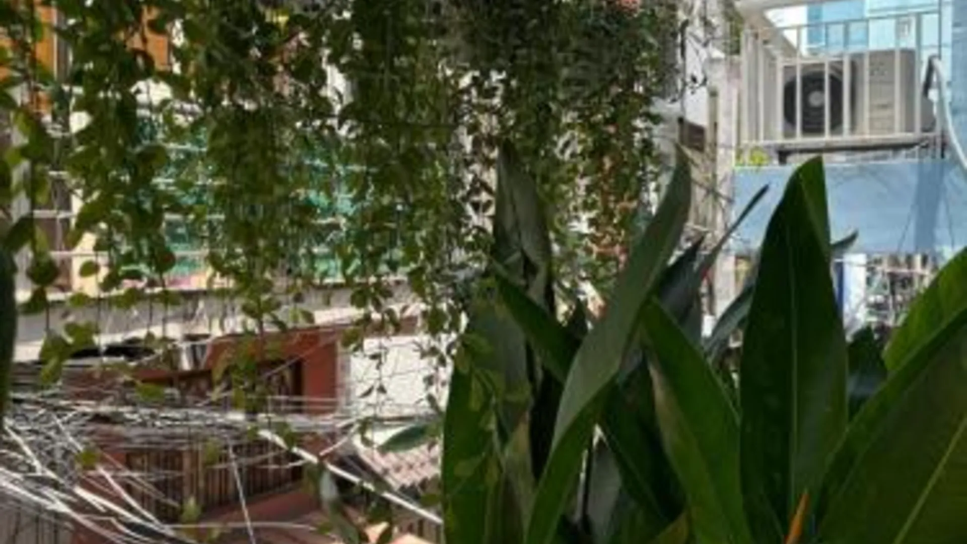 호치민 렉시스하우스 - 웜 스페이스 인 호티끼 플라워 마켓 4성급 게스트하우스 레스토랑