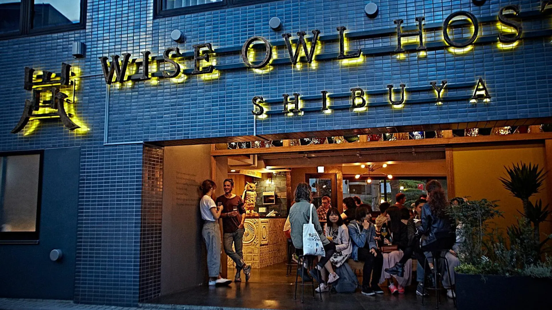 도쿄 / 동경 와이즈 아울 호스텔스 시부야 2성급 호텔 객실