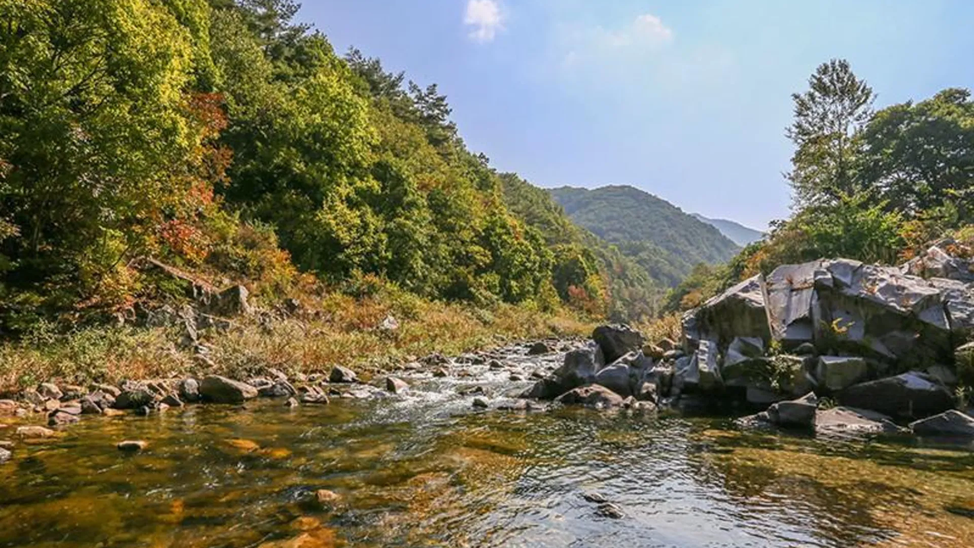 단양 단양 단양팔경펜션 2성급 게스트하우스 부대시설
