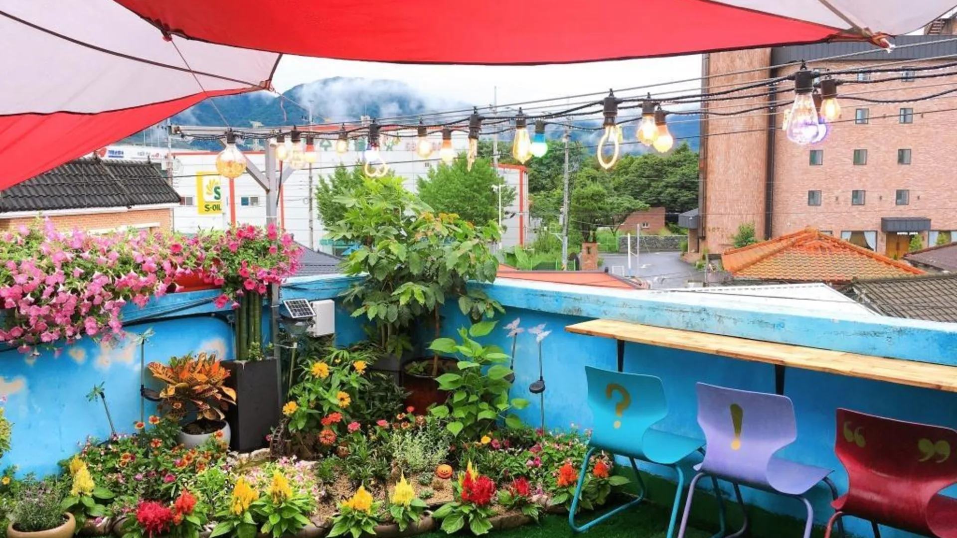 가평 가평 자라섬 게스트하우스 호텔 객실