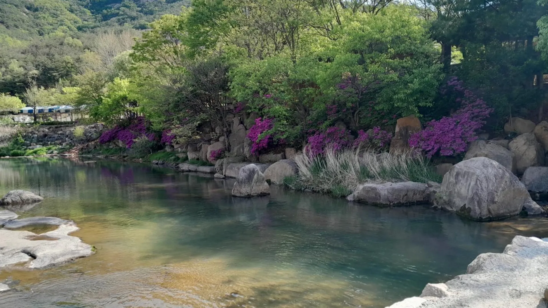 상주 상주 자연속으로나를찾아서펜션 2성급 게스트하우스 부대시설