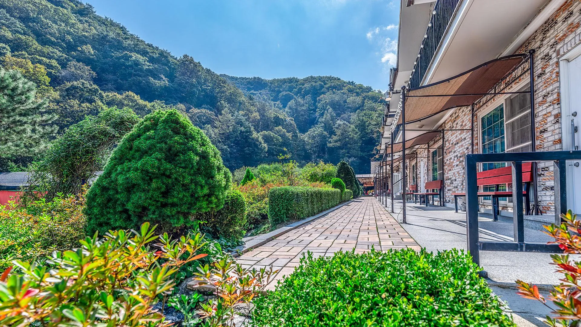 계룡시 대전 파파지붕&마마펜션 2성급 게스트하우스 부대시설