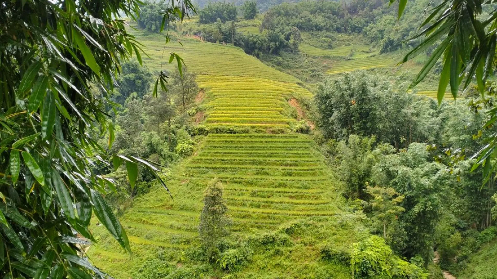 사파 사빠 도심의 방갈로 (30m², 침실 1개, 프라이빗 욕실 1개) 2성급 싱글룸 로비