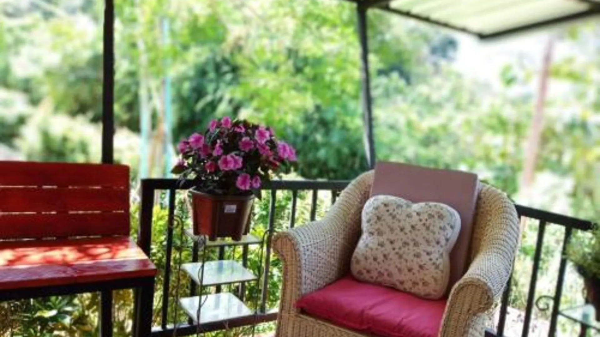 치앙라이 Baan JaoKorKluay บ้านเจ้ากอกล้วย 3성급 호텔 객실