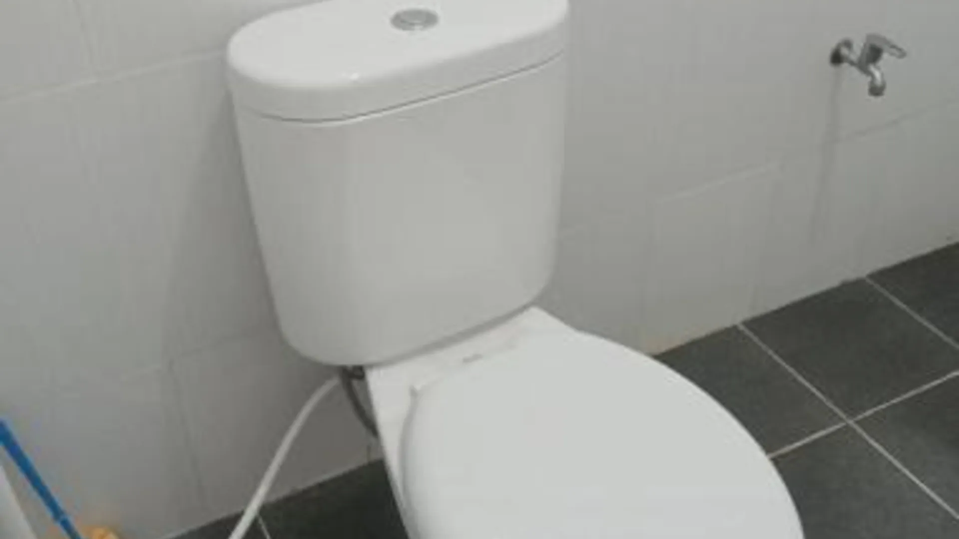 발리 Kubu In Dhana Guest House 2성급 싱글룸 부대시설