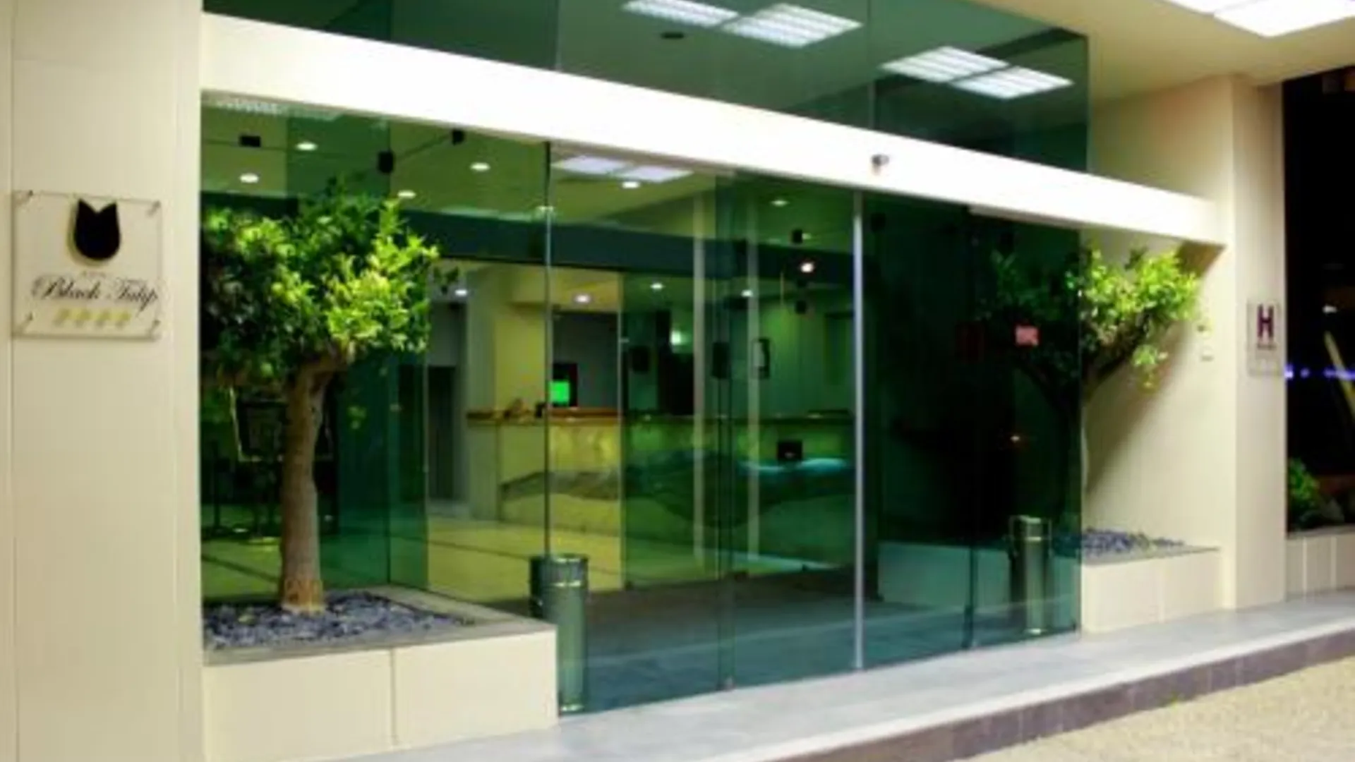 빌라 노바 드 가이아 호텔 블랙 튤립 - 포르투 가이아 4성급 호텔 부대시설