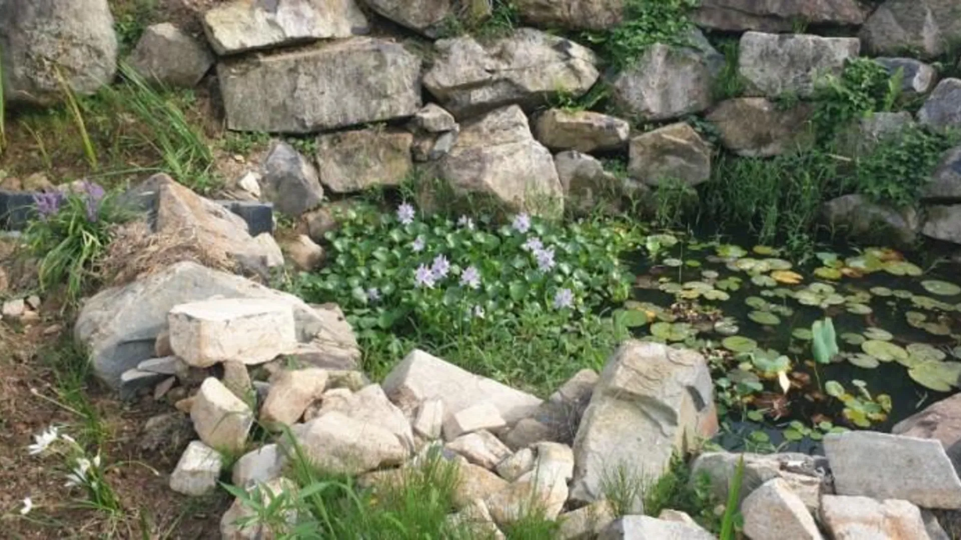 통영 통영 타샤의정원펜션 2성급 게스트하우스 레스토랑