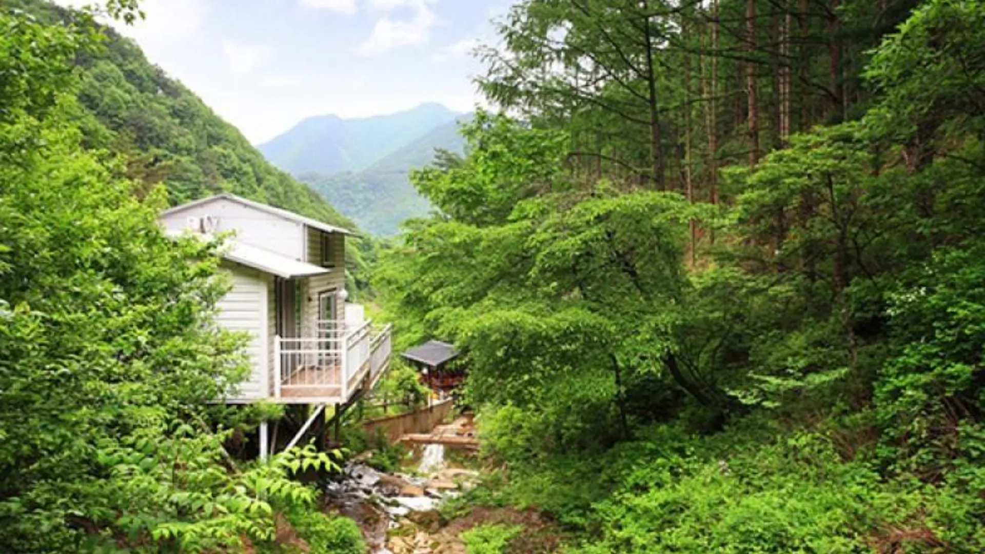 단양 단양 구구산장펜션 2성급 게스트하우스 수영장