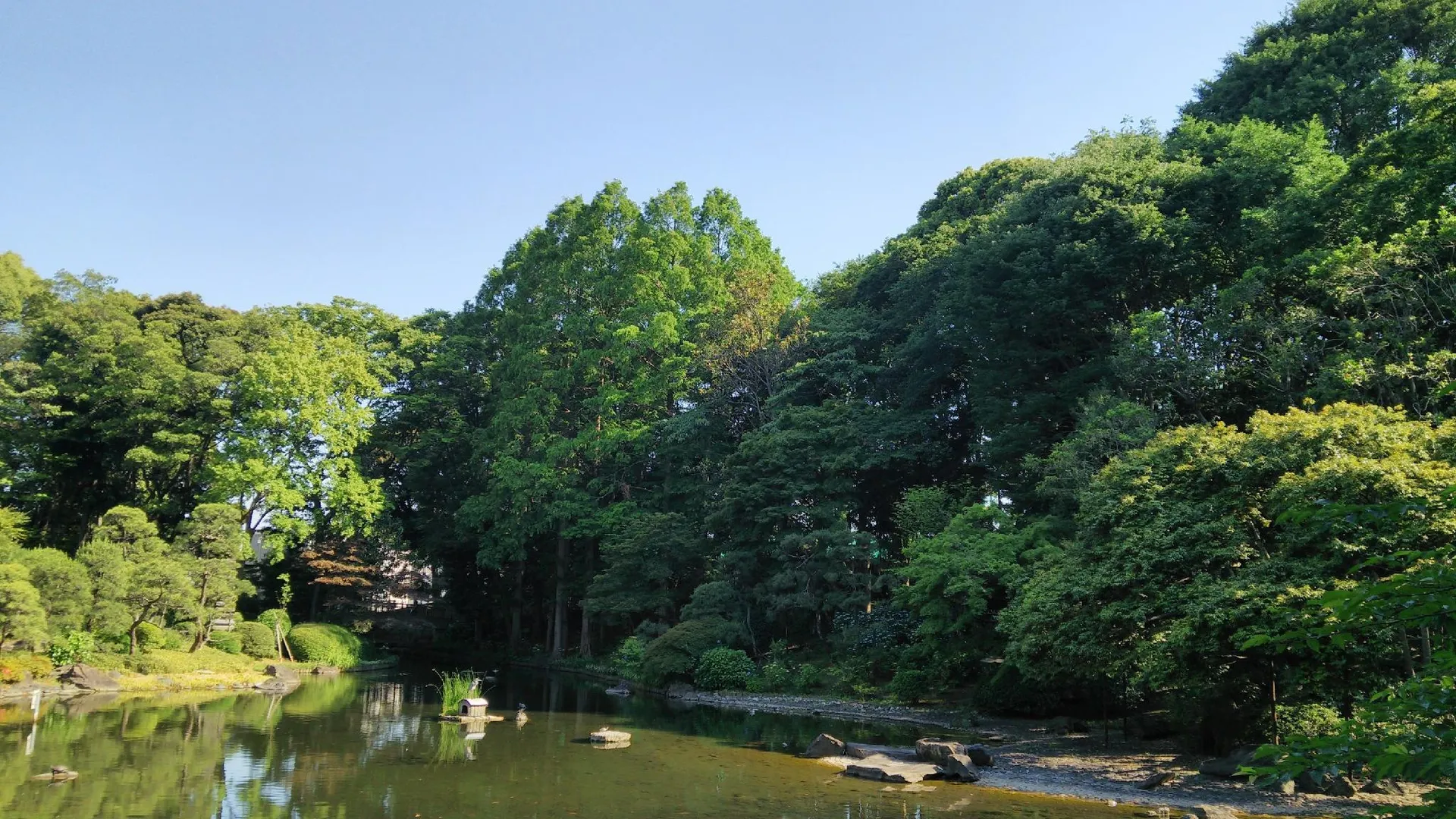 도쿄 / 동경 APA 호텔 시나가와 토고시 에키마에 3성급 호텔 전망