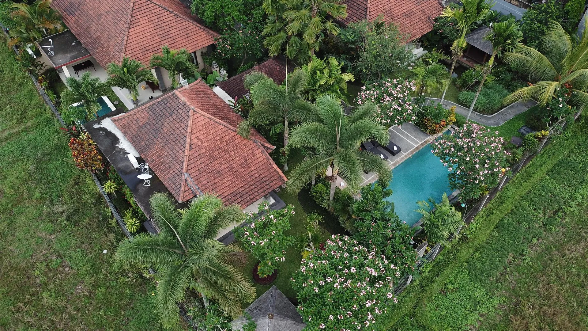 발리 와룽 만디 앤 빌라 4성급 게스트하우스 수영장