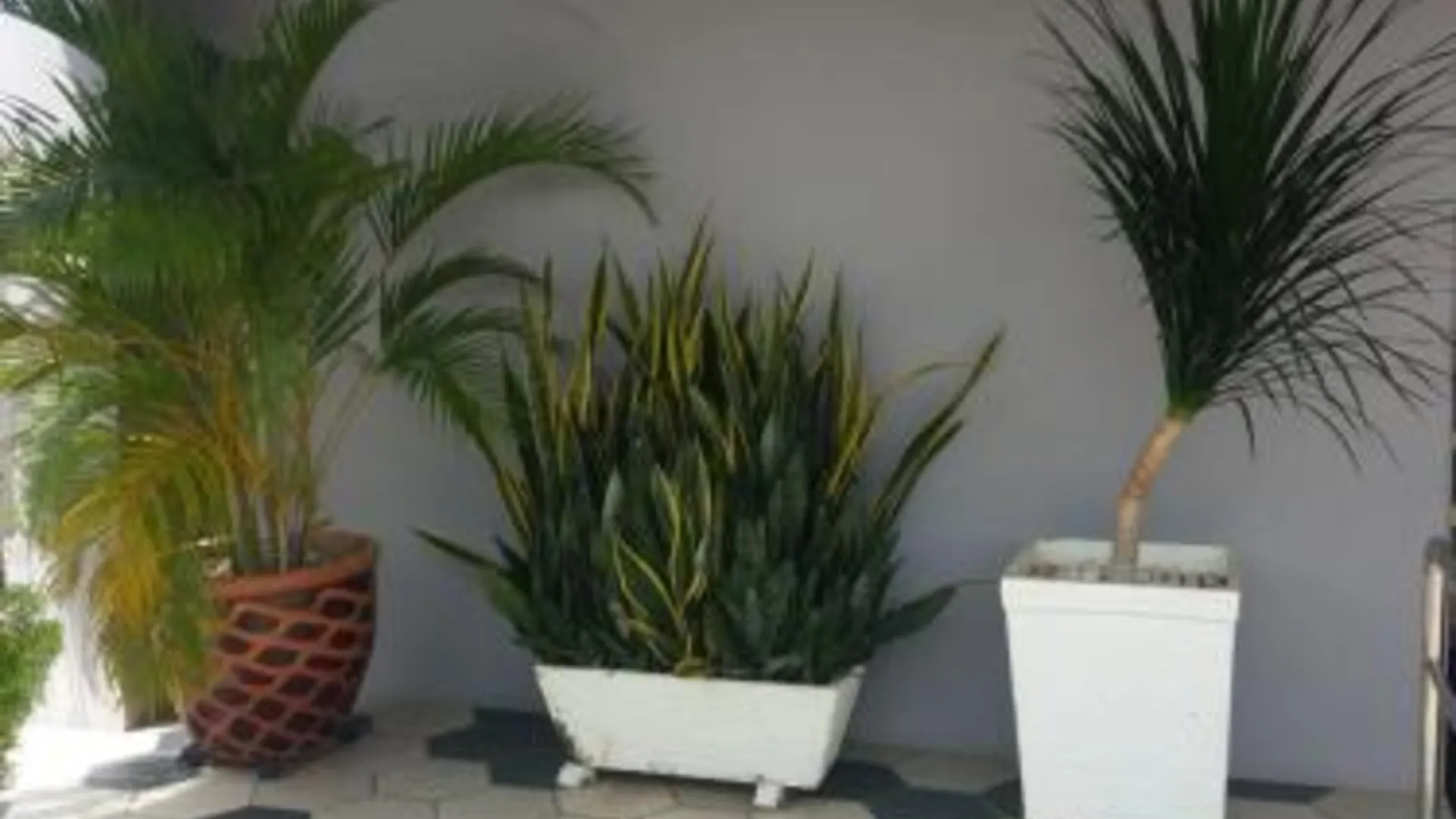 말라카 로터스 인 호텔 2성급 호텔 객실