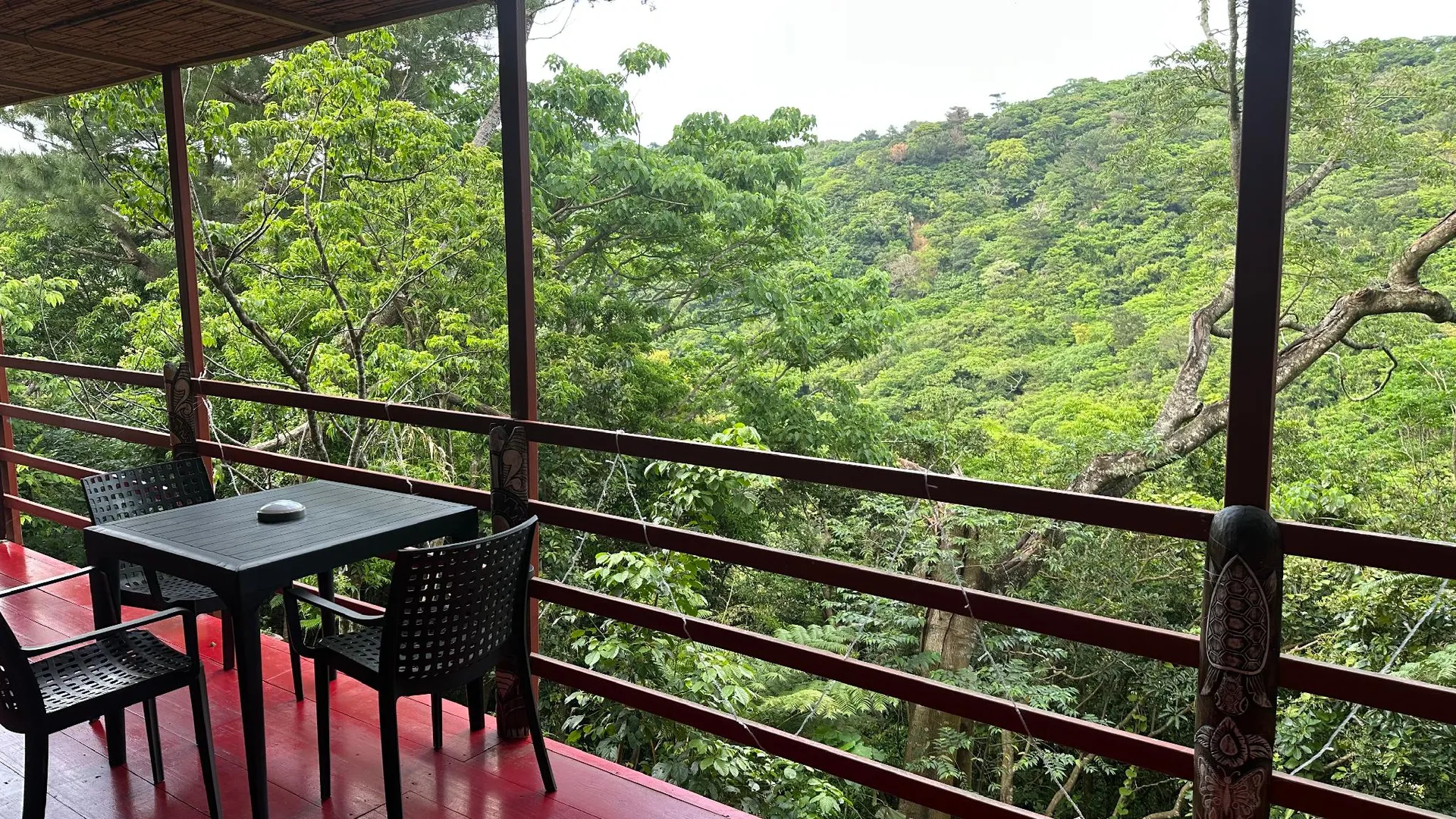 오키나와 본섬 나고의  (14.5m², 침실 1개, 프라이빗 욕실 1개) 3성급 싱글룸 전망