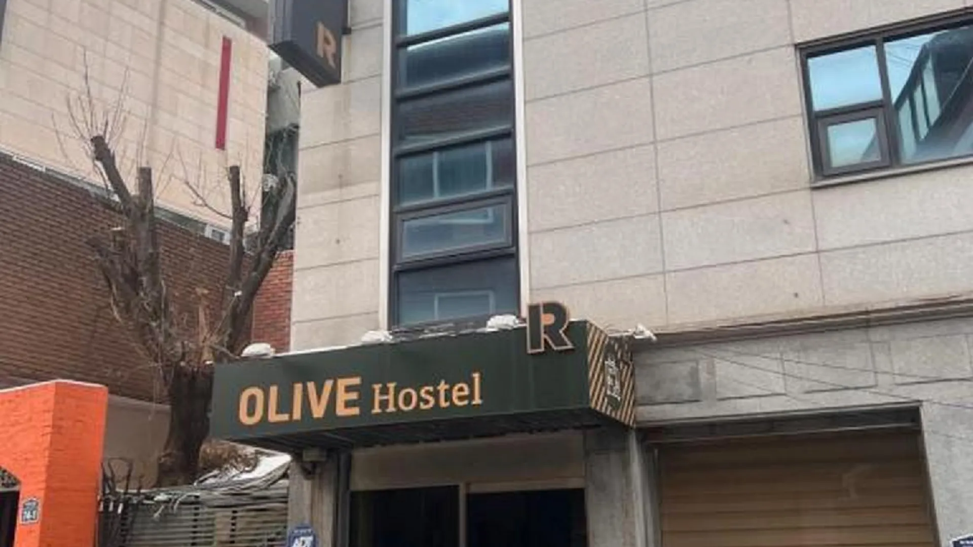 서울 올리브 호스텔 R 3성급 호텔 수영장