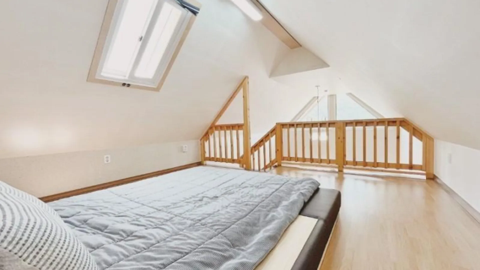 양평 양평 편안하개애견펜션 3성급 게스트하우스 스위트룸