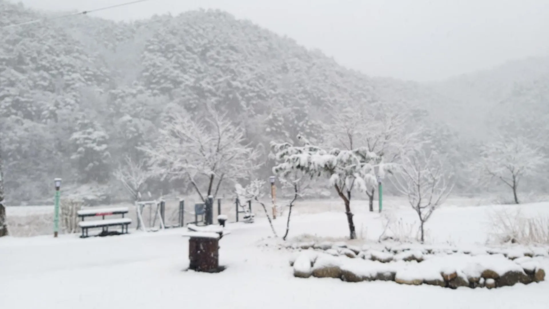 양양 양양 가족펜션 2성급 게스트하우스 수영장