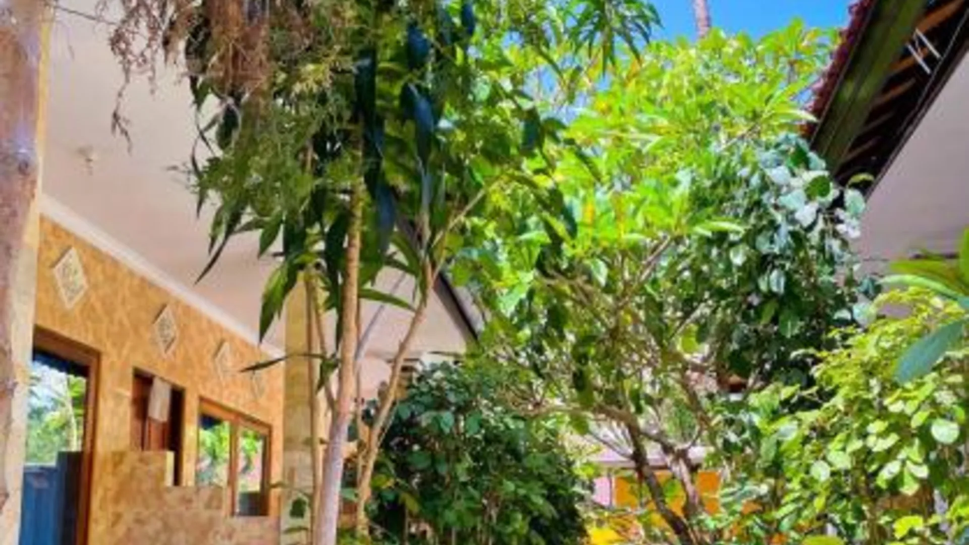 발리 Pandan Wangi 3성급 싱글룸 전망