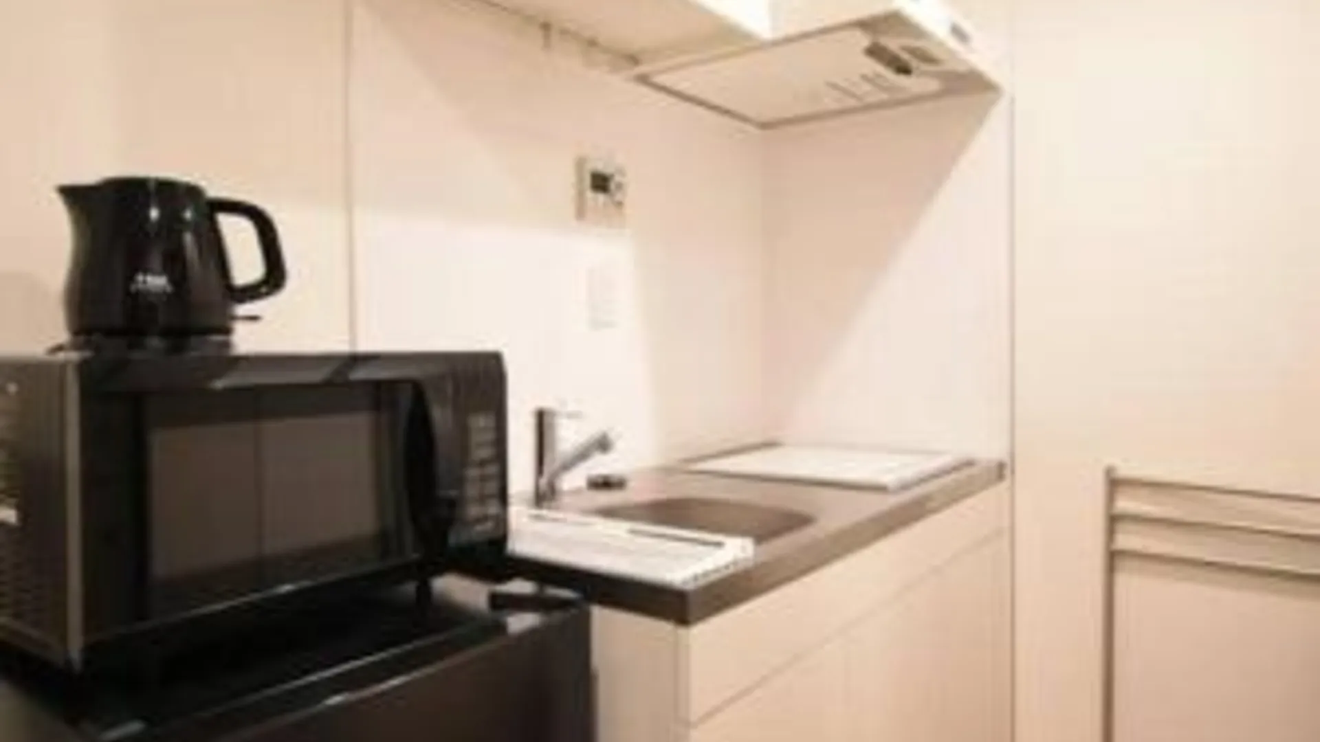 도쿄 / 동경 東駒形201 3성급 싱글룸 수영장