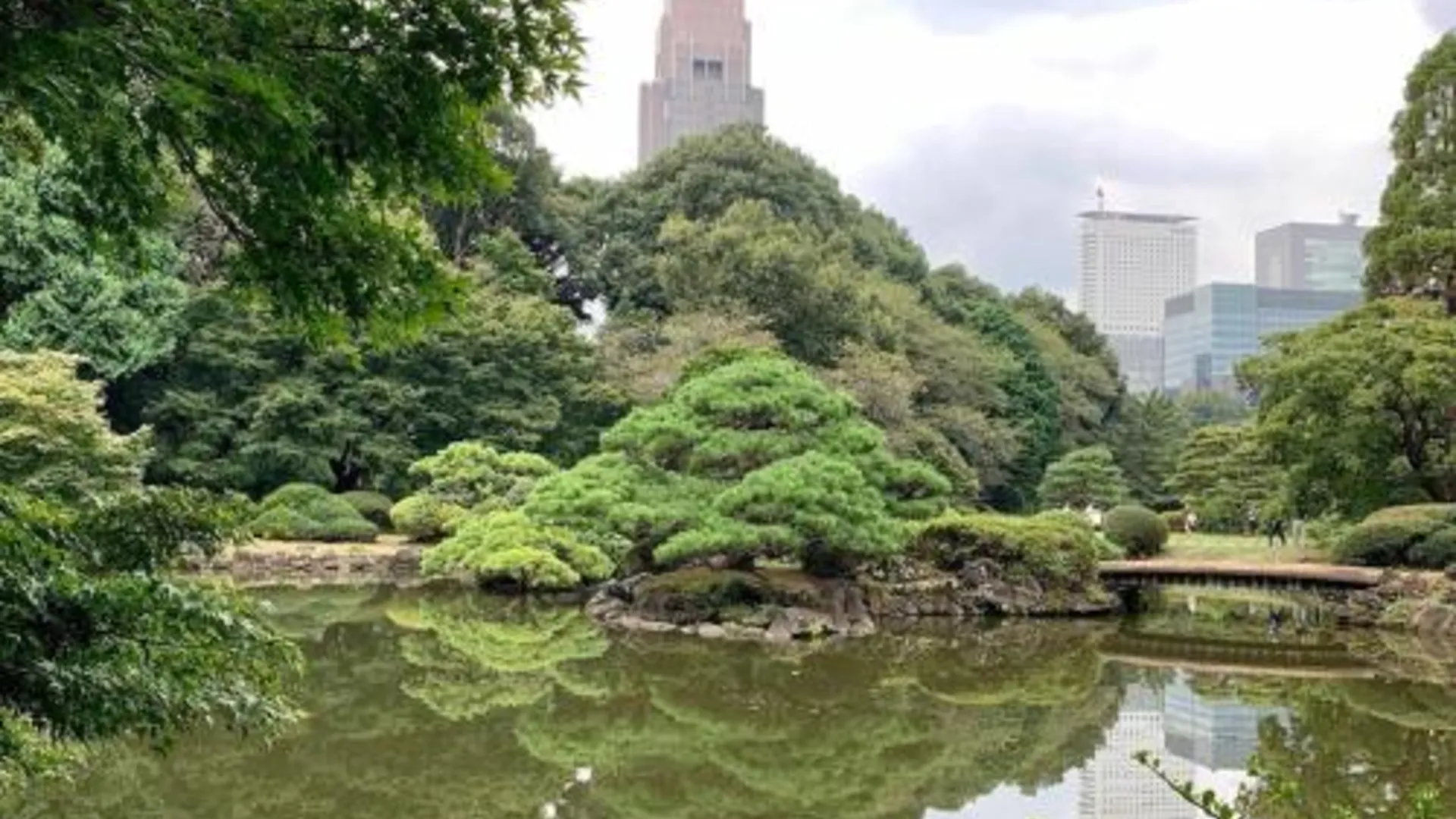 도쿄 / 동경 호텔 고류카쿠 4성급 호텔 전망