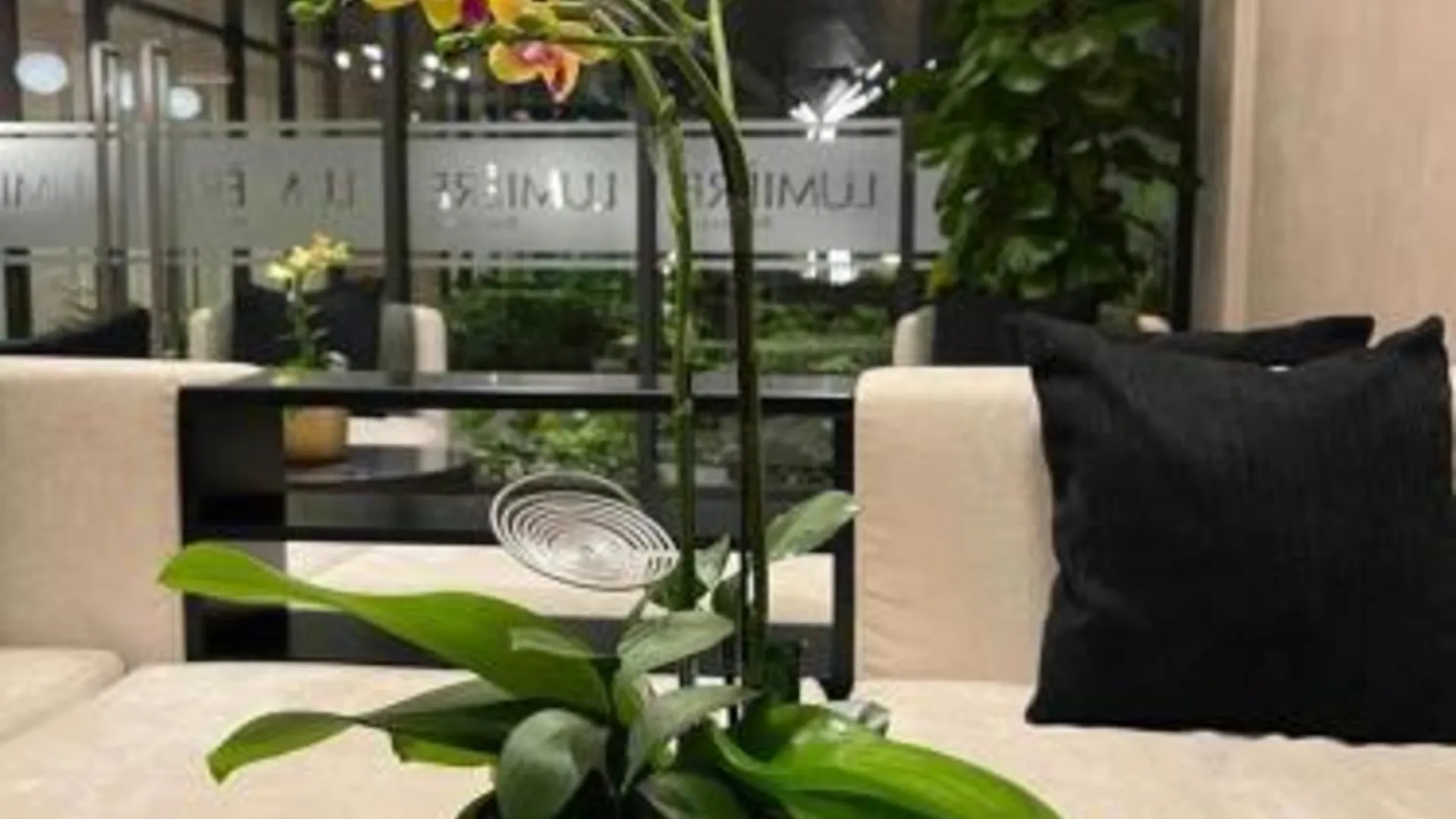 호치민 Bống Homestay-Luxury Apartment-2PN 4성급 싱글룸 객실