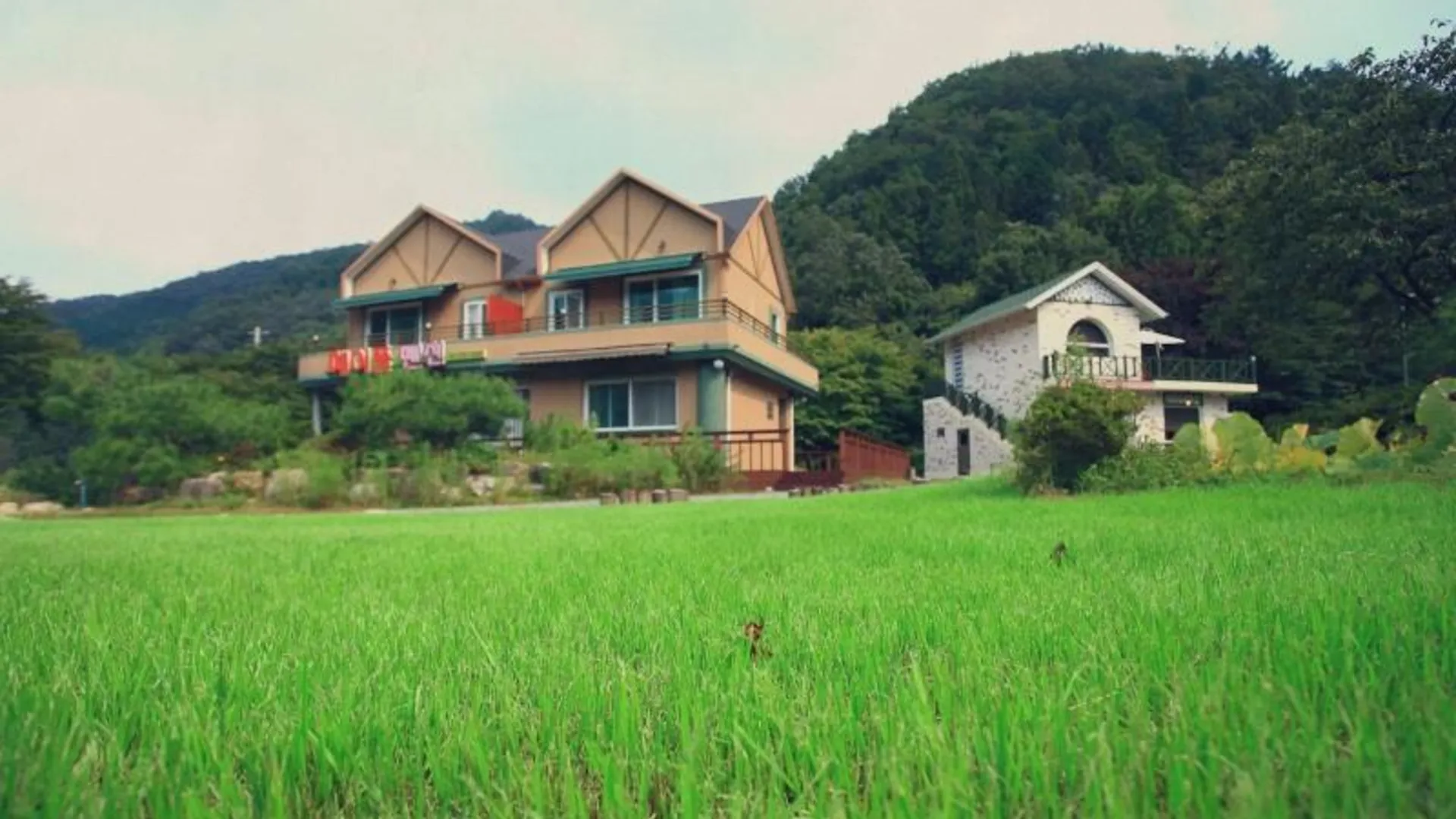 담양 담양 메이플펜션 3성급 게스트하우스 전망