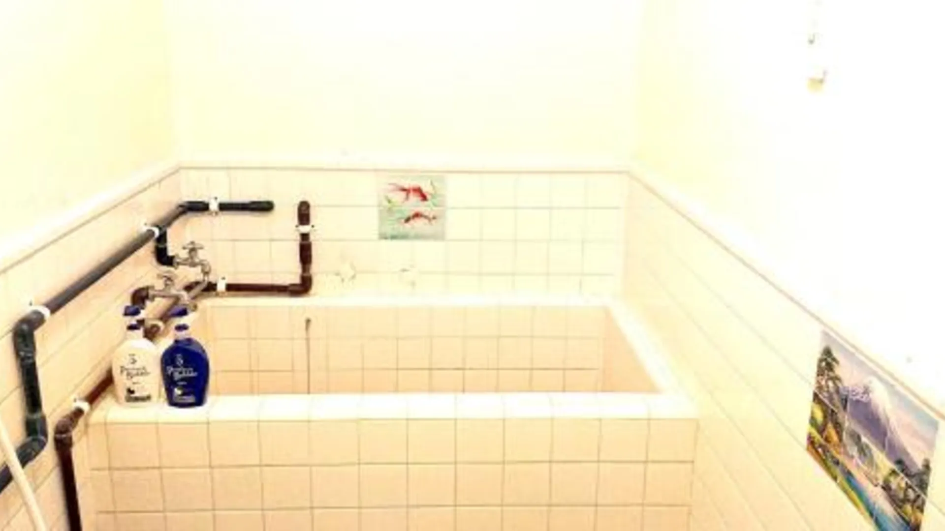 이시가키 ペンションやいま日和 2성급 호텔 부대시설