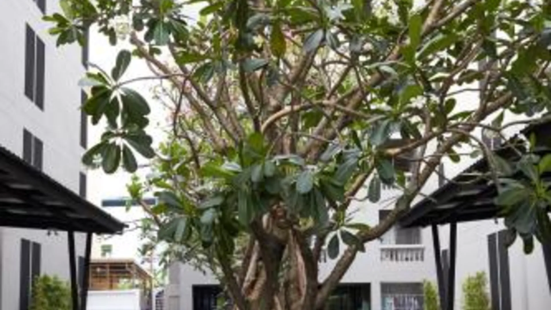 방콕 알마스 호텔 방콕 3성급 호텔 레스토랑