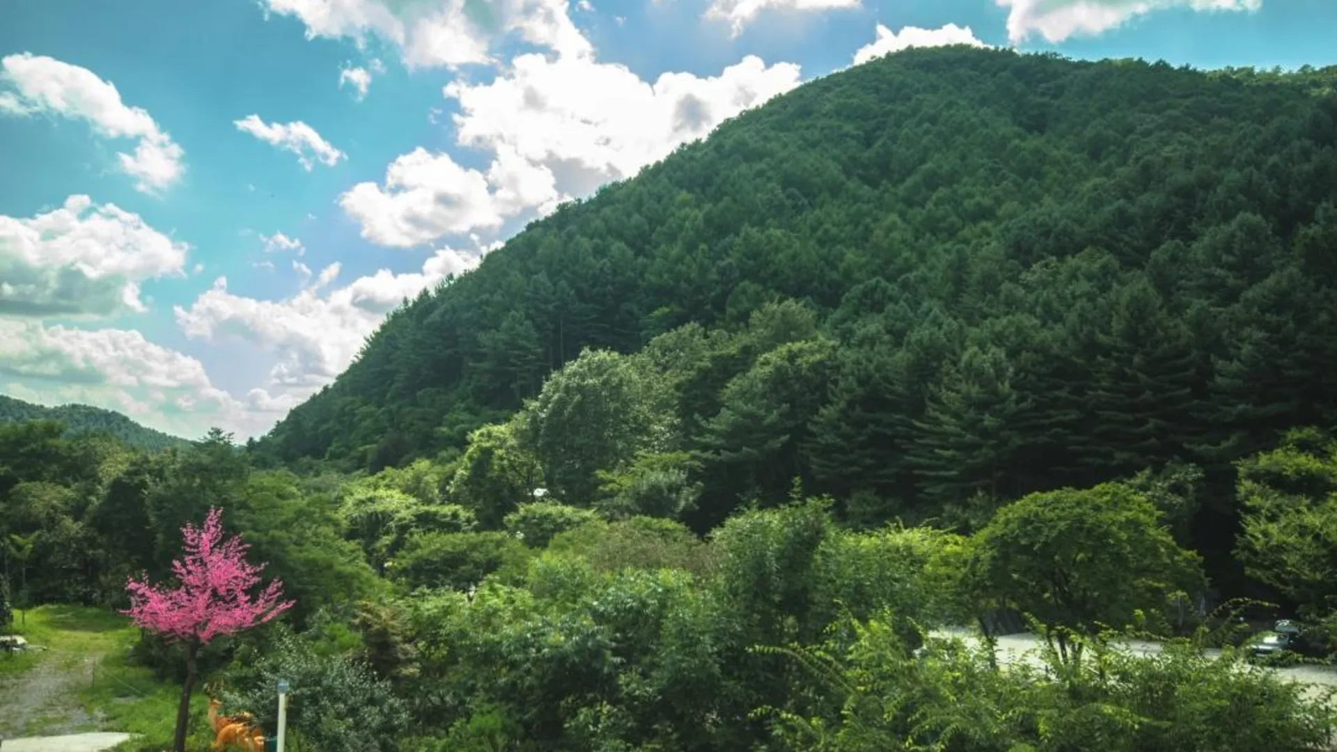 가평 가평 계곡에풍덩펜션캠핑장 2성급 게스트하우스 외관