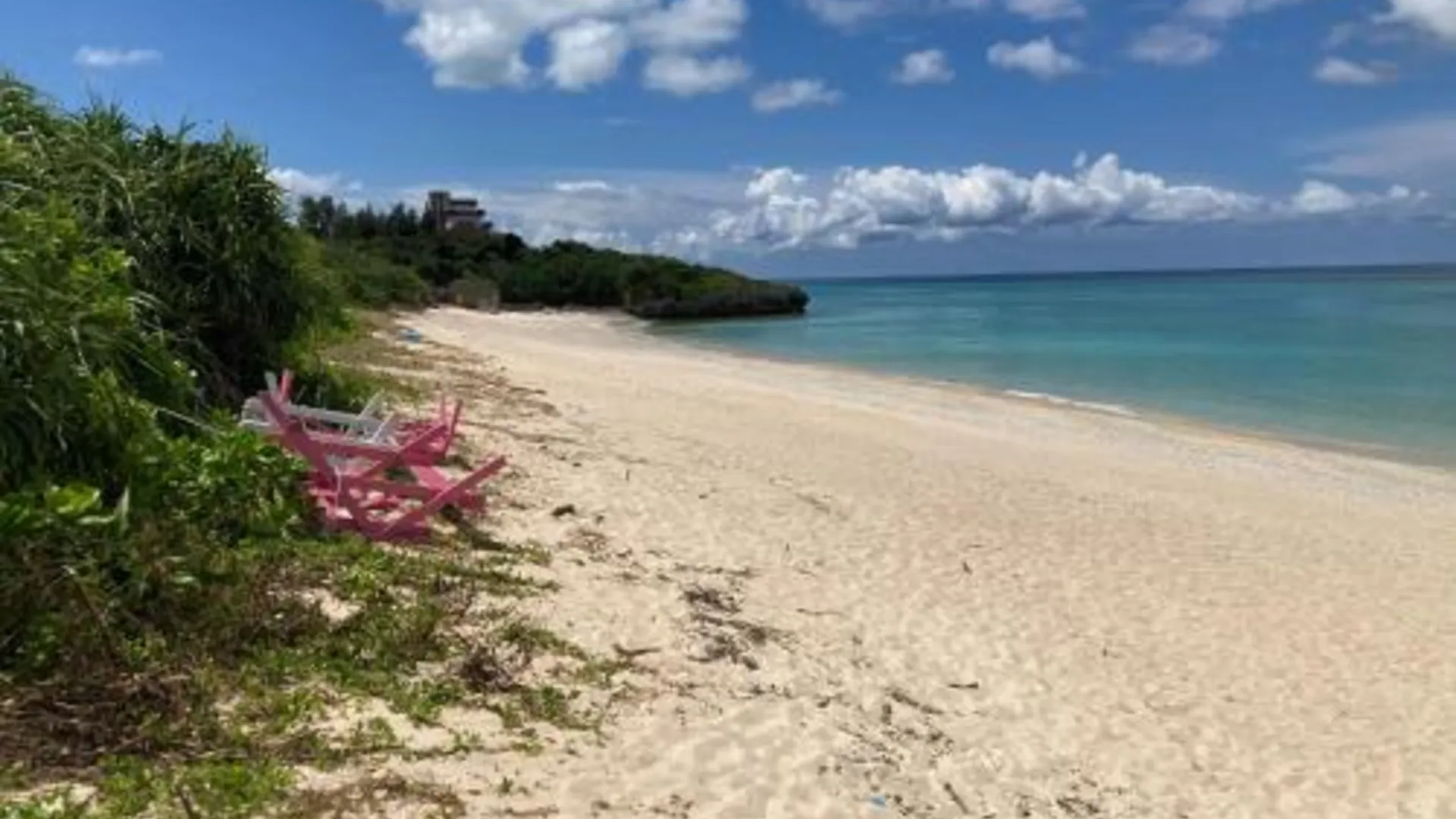 오키나와 본섬 Nakijin Resort Guest House 3성급 호텔 부대시설