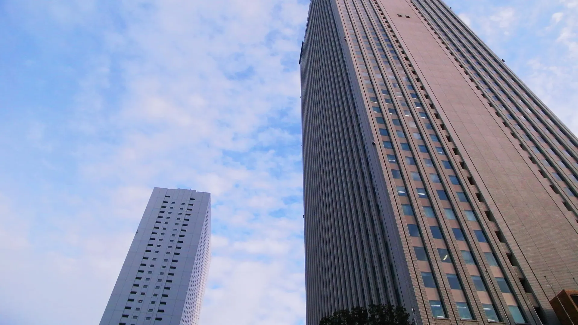 도쿄 / 동경 호텔 마이스테이 히가시-이케부쿠로 3성급 호텔 객실