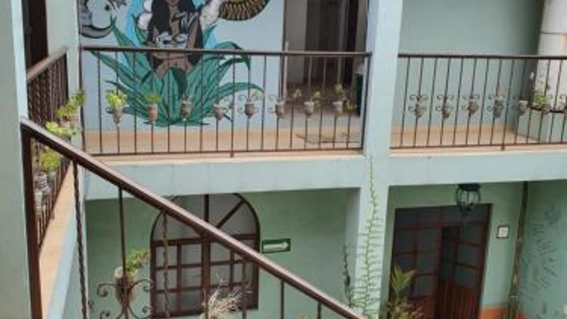 오악사카 Hierba De Conejo Hostel 2성급 호텔 외관