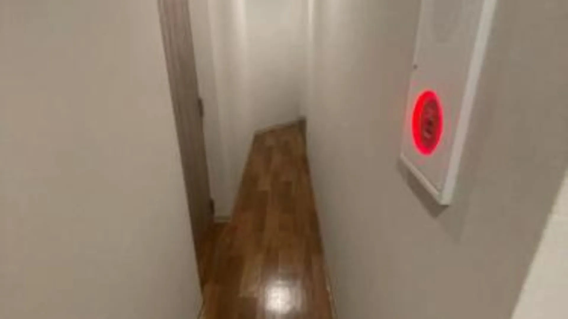 도쿄 / 동경 54 저니 롯폰기 3성급 게스트하우스 수영장