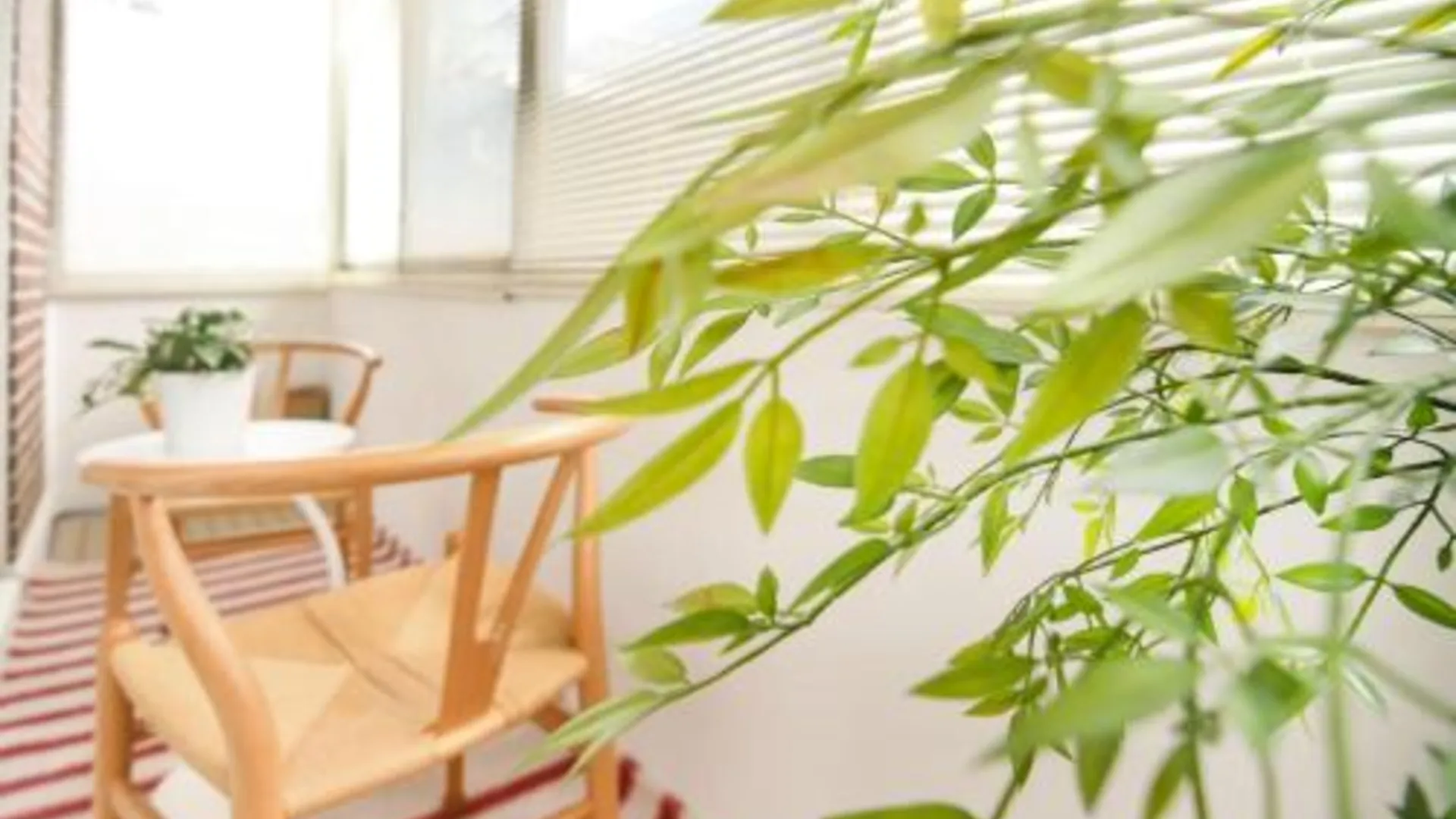 서울 온기 하우스 3성급 싱글룸 레스토랑