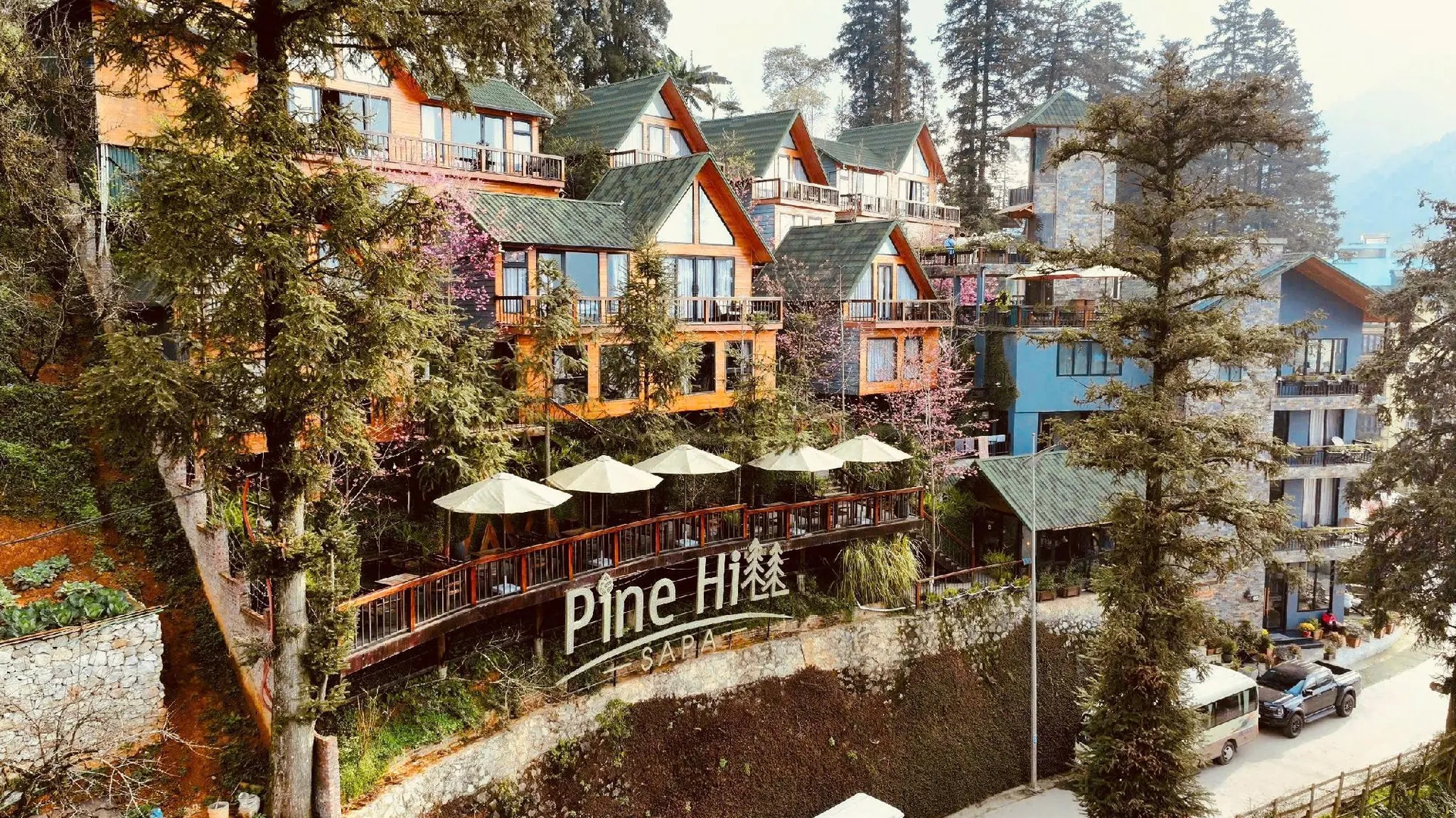 사파 사파 파인 힐 에코로지 3성급 호텔 객실