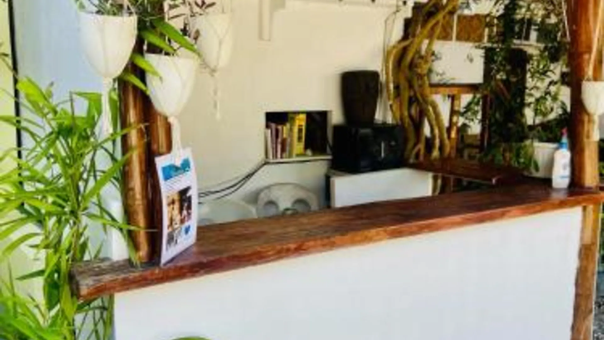 세부 Babu Backpackers inn 호텔 외관