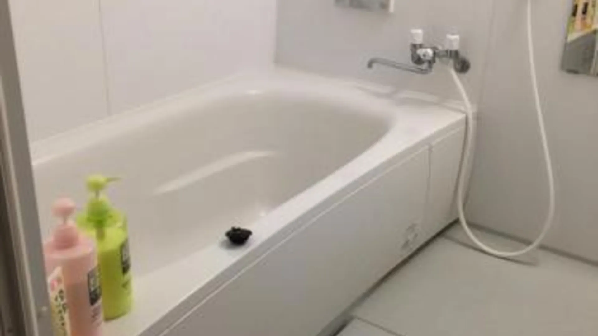 오사카 guest house Sakura 4성급 게스트하우스 부대시설