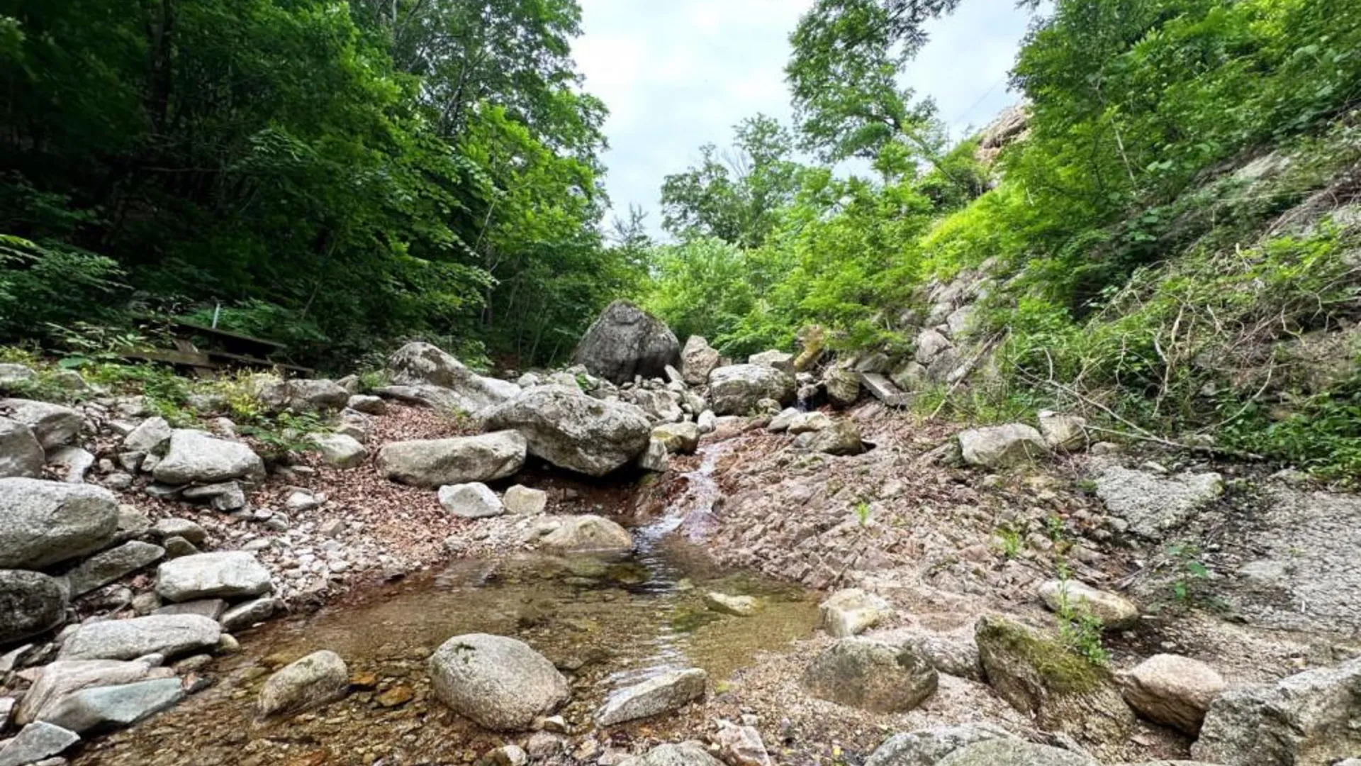 양양 양양 안변펜션 1성급 게스트하우스 레스토랑