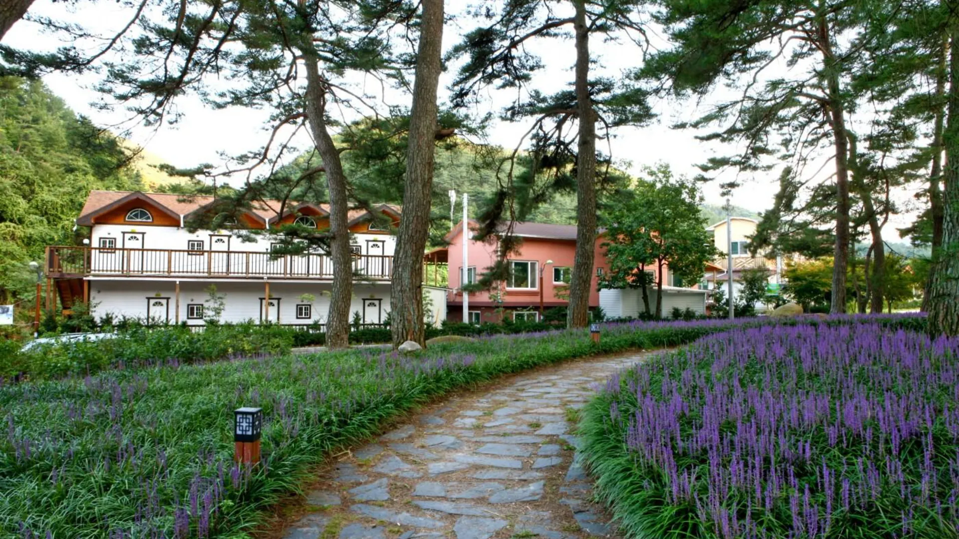 상주 상주 솔숲펜션 1성급 게스트하우스 레스토랑