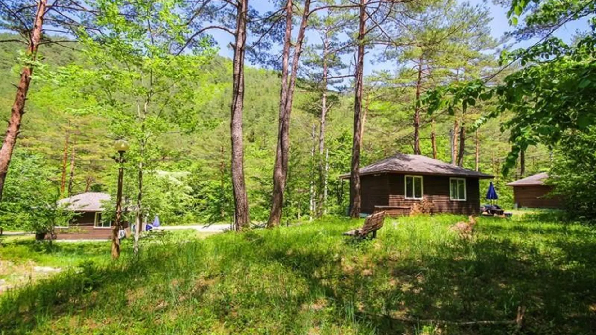 양양 양양 숲속의집펜션 2성급 게스트하우스 부대시설