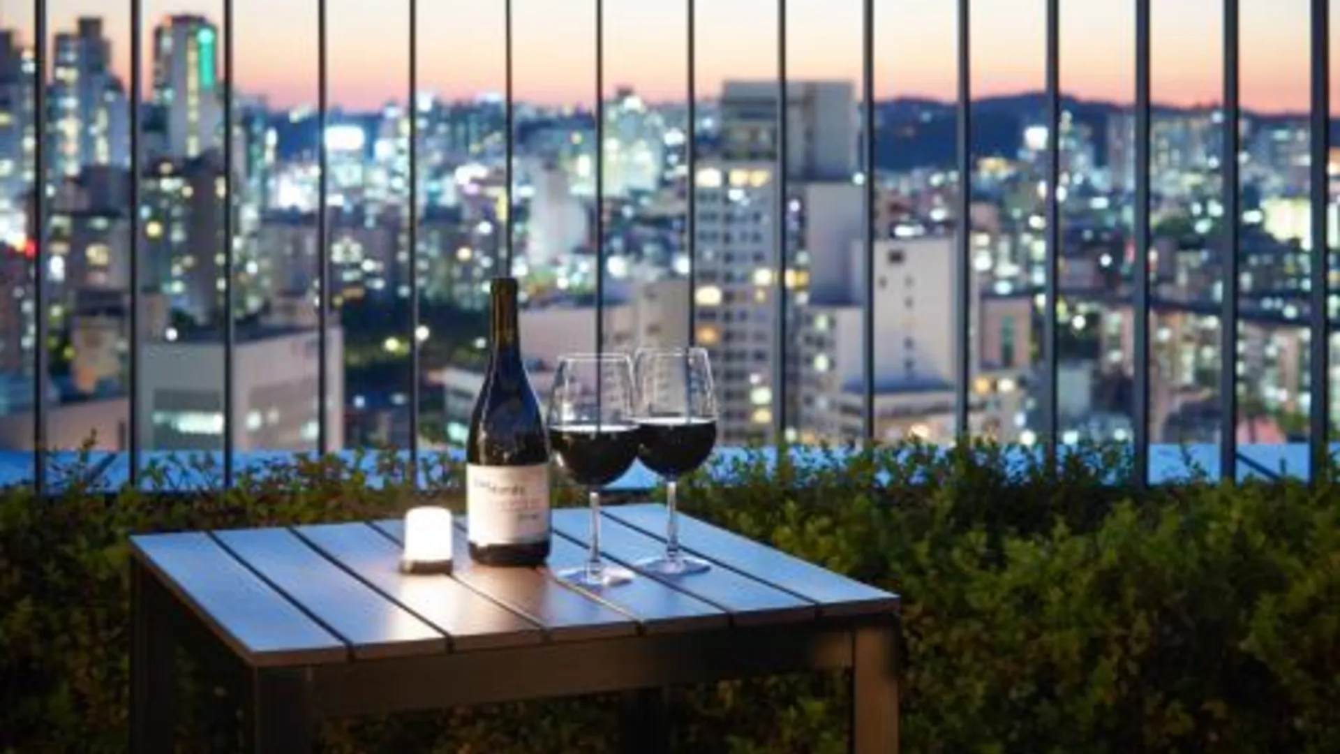 서울 호텔 페이토 강남 3성급 호텔 수영장