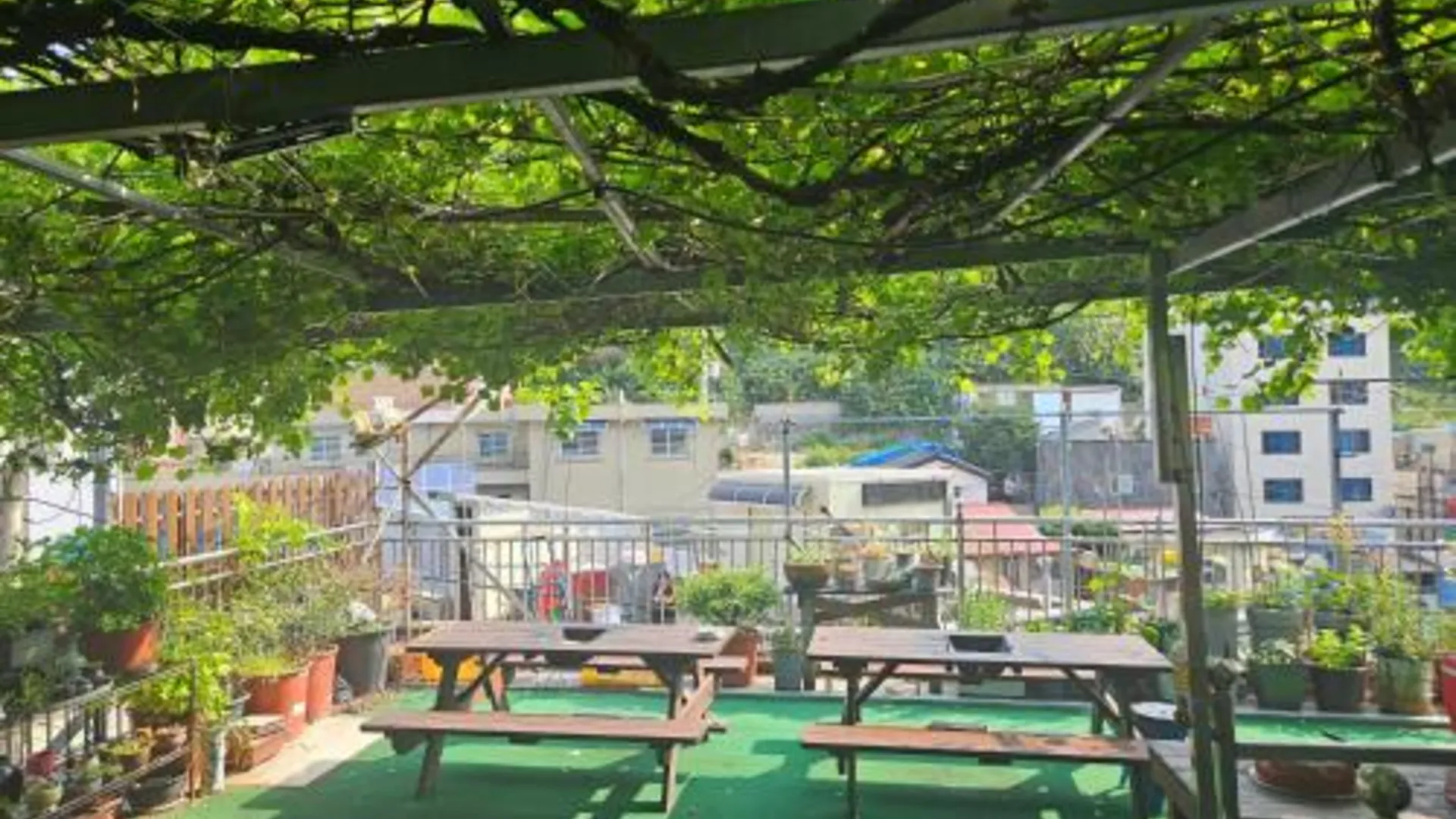 울릉군 해오름 광양 펜션 3성급 게스트하우스 수영장