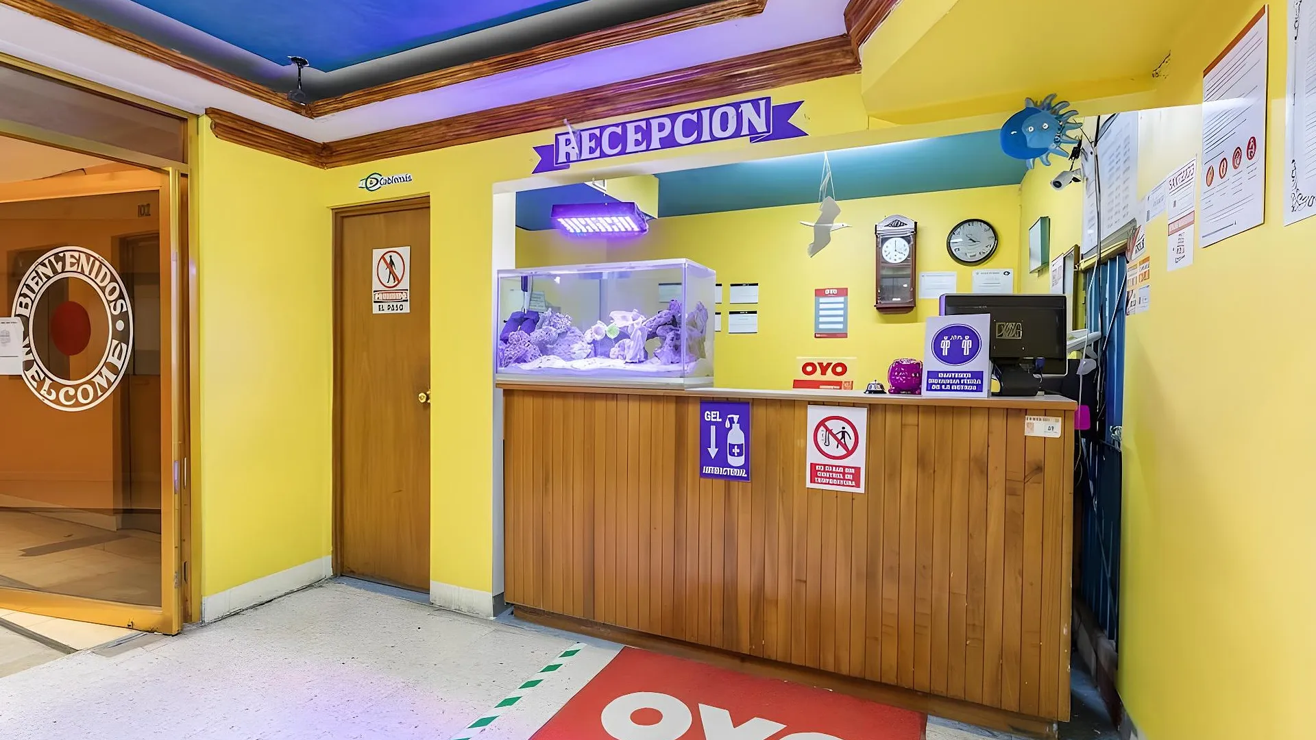 오악사카 OYO 호텔 엠페라도르, 오악사카 2성급 호텔 전망