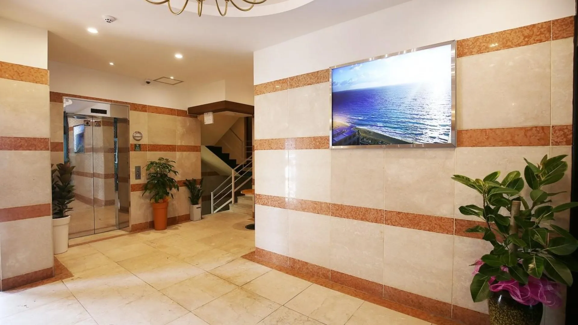 보령  보령(대천) 호텔 봄 호텔 수영장