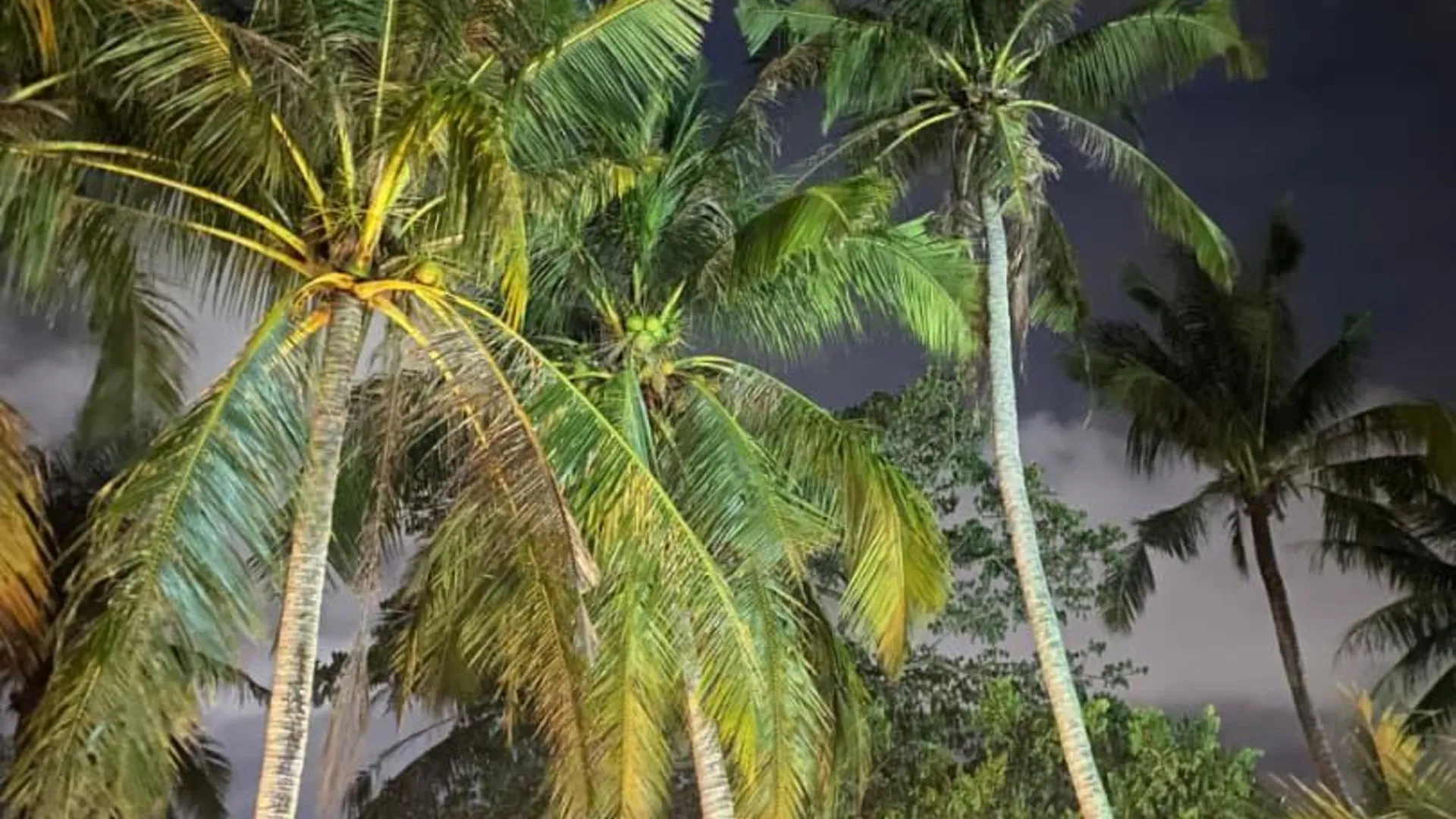 캉가르 기타의  (m², 침실 1개, 프라이빗 욕실 1개) 3성급 싱글룸 로비