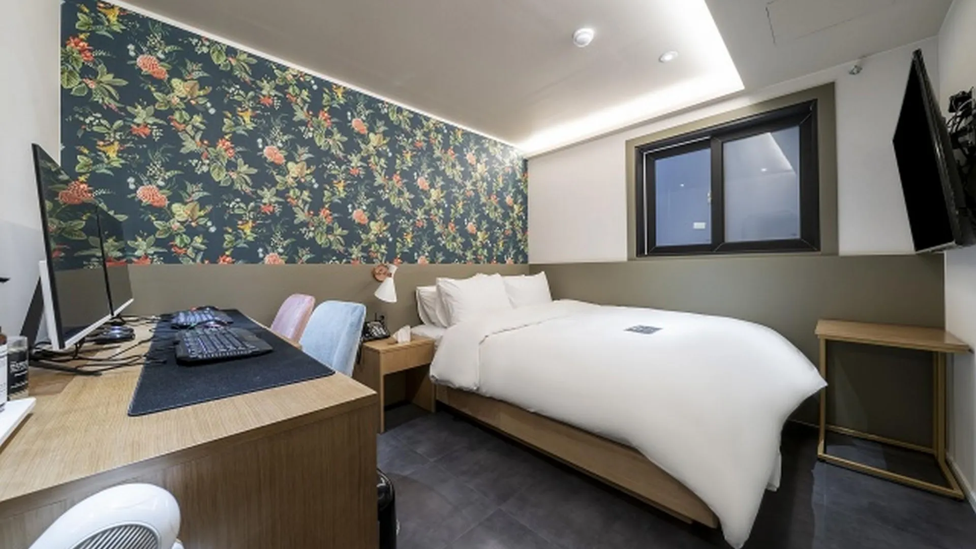 서울 넘버25 신촌점 1성급 호텔 스위트룸