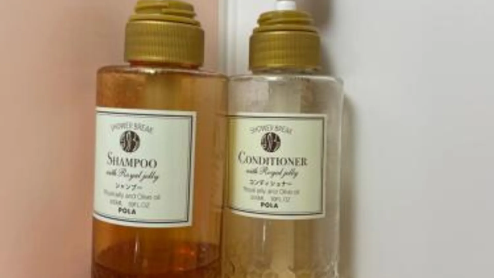 도쿄 / 동경 닛포리 호텔 하모니 2성급 호텔 레스토랑