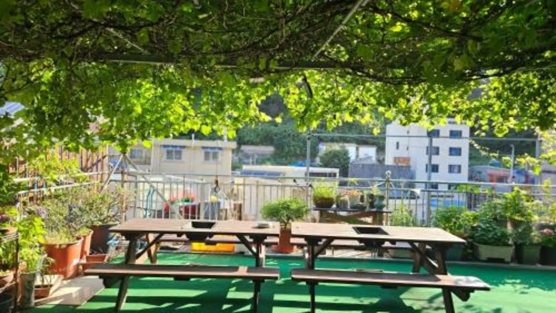 울릉군 해오름 광양 펜션 3성급 게스트하우스 전망