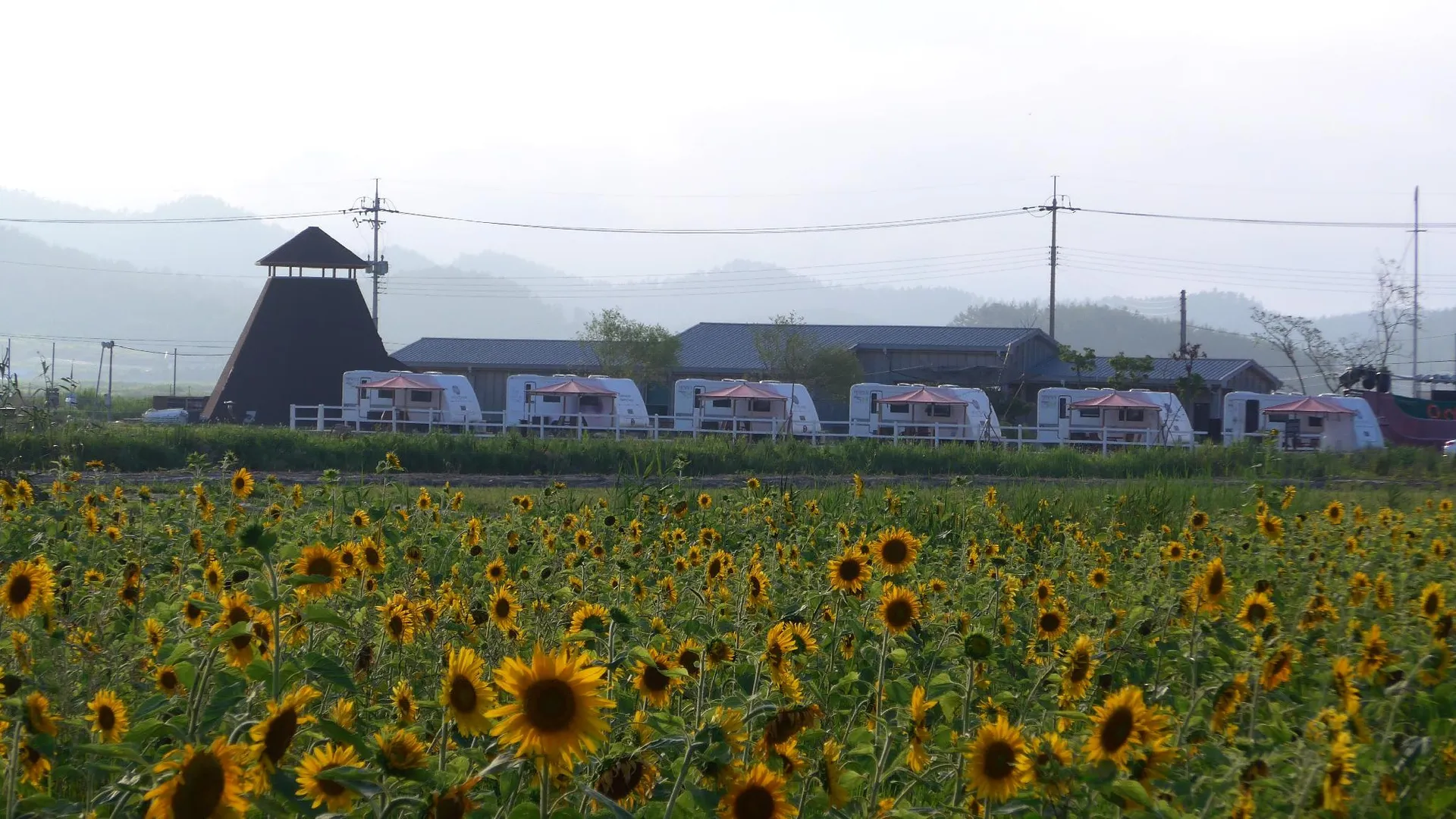 신안군 신안 천일염힐링캠프 카라반 2성급 게스트하우스 부대시설