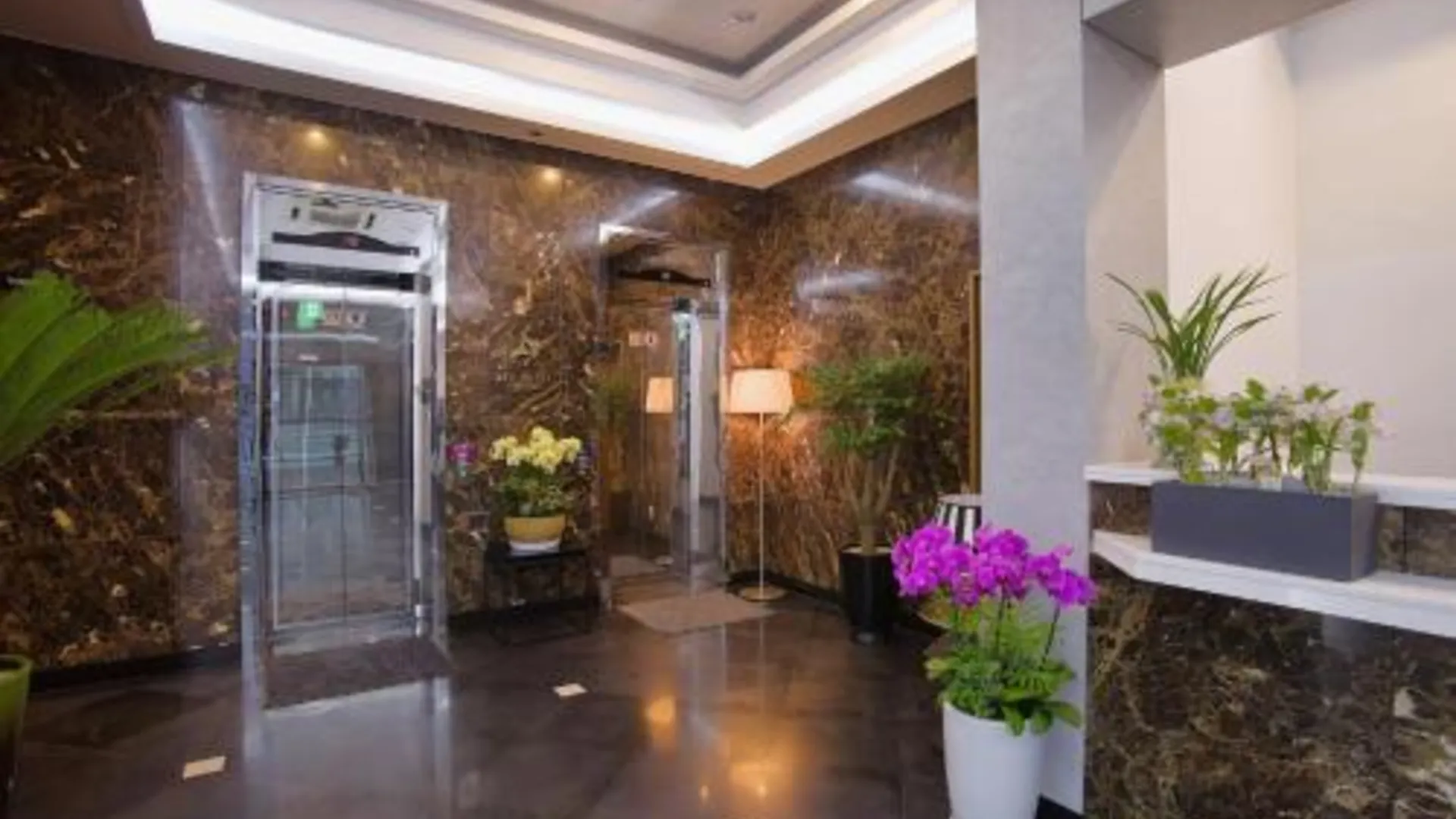 서울 렉스 관광호텔 3성급 호텔 수영장