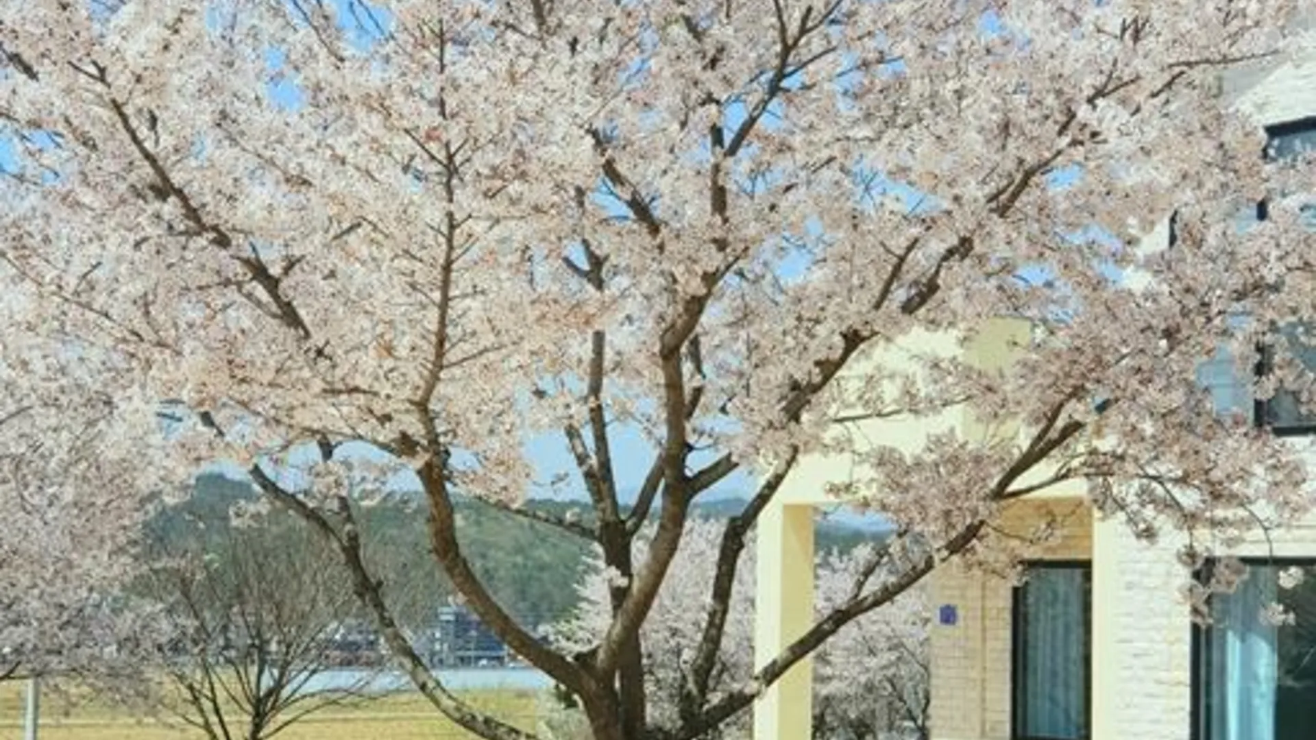 경주 Pacific Pension 2성급 게스트하우스 수영장